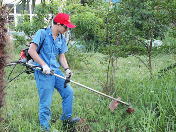 义务劳动热火朝天 党员除草美化家园